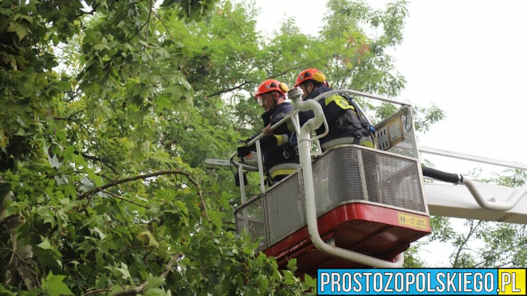 Ponad Interwencji Stra Ak W Na Opolszczy Nie Po Amane