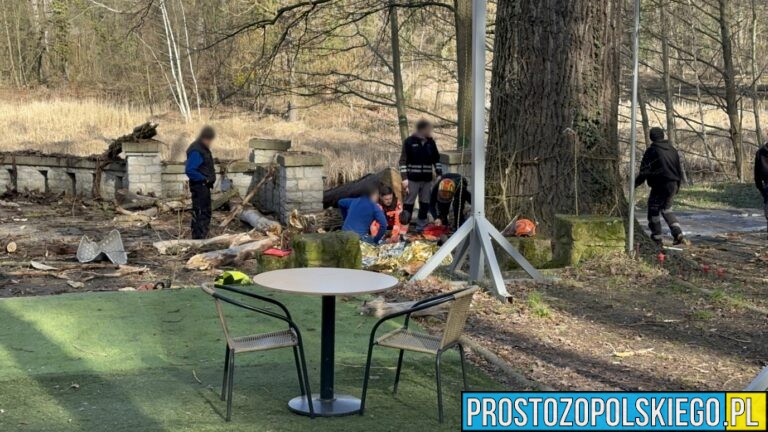 Wypadek przy wycince drzew na wyspie Bolko koło restauracji