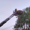 Strażacy z OSP uratowali bociana ,który wyleciał z gniazda w Dąbrowicach w gminie Chrząstowice . (Zdjęcia)