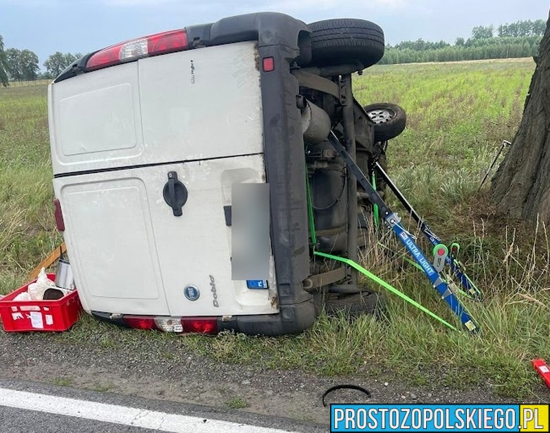 Kierujący dostawczakiem wjechał w drzewo na DK42 na wysokości miejscowości Zalesie.(Zdjęcia&Wideo)