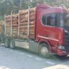 Blisko 65-tonowa ciężarówka załadowana drewnem