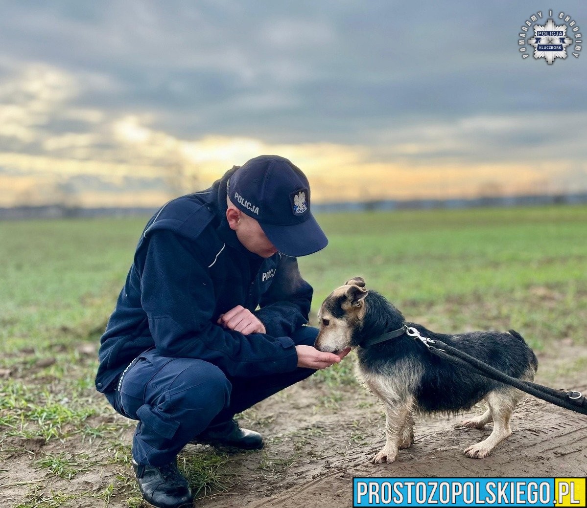 Dzięki zaangażowaniu kluczborskich policjantów i wolontariuszy porzucone czworonogi znalazły kochający dom.