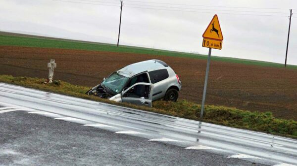 Wypadek samochodowy na DK 41 na trasie Niemysłowice - Rudziczka