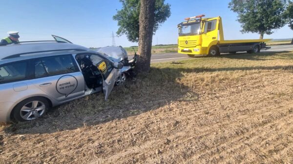 Kierujący skodą wjechał w drzewo na DK46 na trasie Nysa-Opole w okolicy Pakosławice. Cztery osoby zabrane do szpitala w tym 2 dzieci.