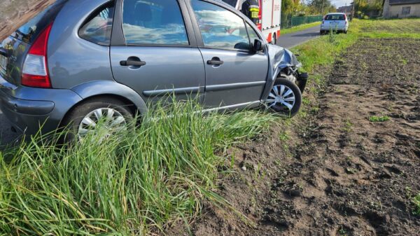 Młody kierowca, mający od 3 miejscy prawo jazdy stracił panowanie nad pojazdem i wjechał w słup telekomunikacyjny w Bierdzanach.