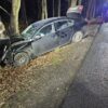 Murów: Kierujący autem wjechał w drzewo. Jedna osoba zabrana do szpitala. (Zdjęcia)