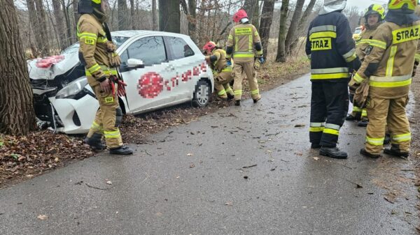 Dostawca jedzenia na wynos stracił panowanie nad pojazdem i uderzył w drzewo . Z obrażeniami ciała trafił do szpitala.(Zdjęcia)