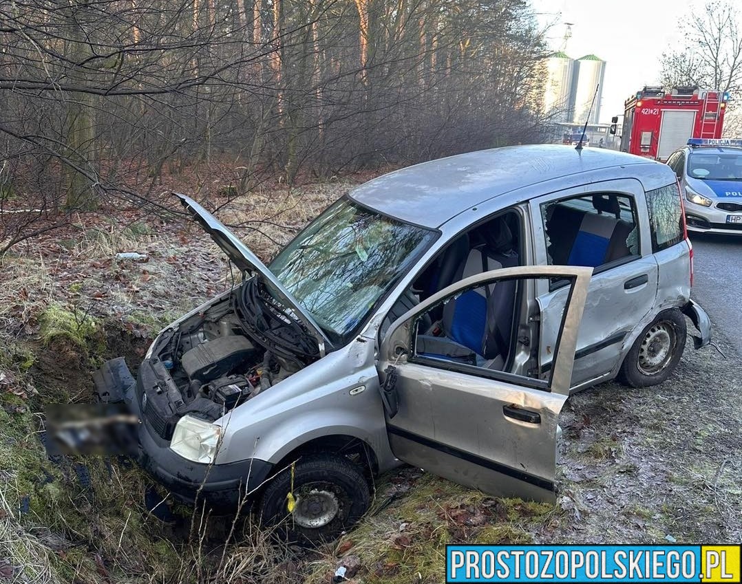 Kierujący autem stracił panowanie nad pojazdem i wjechał do rowu.