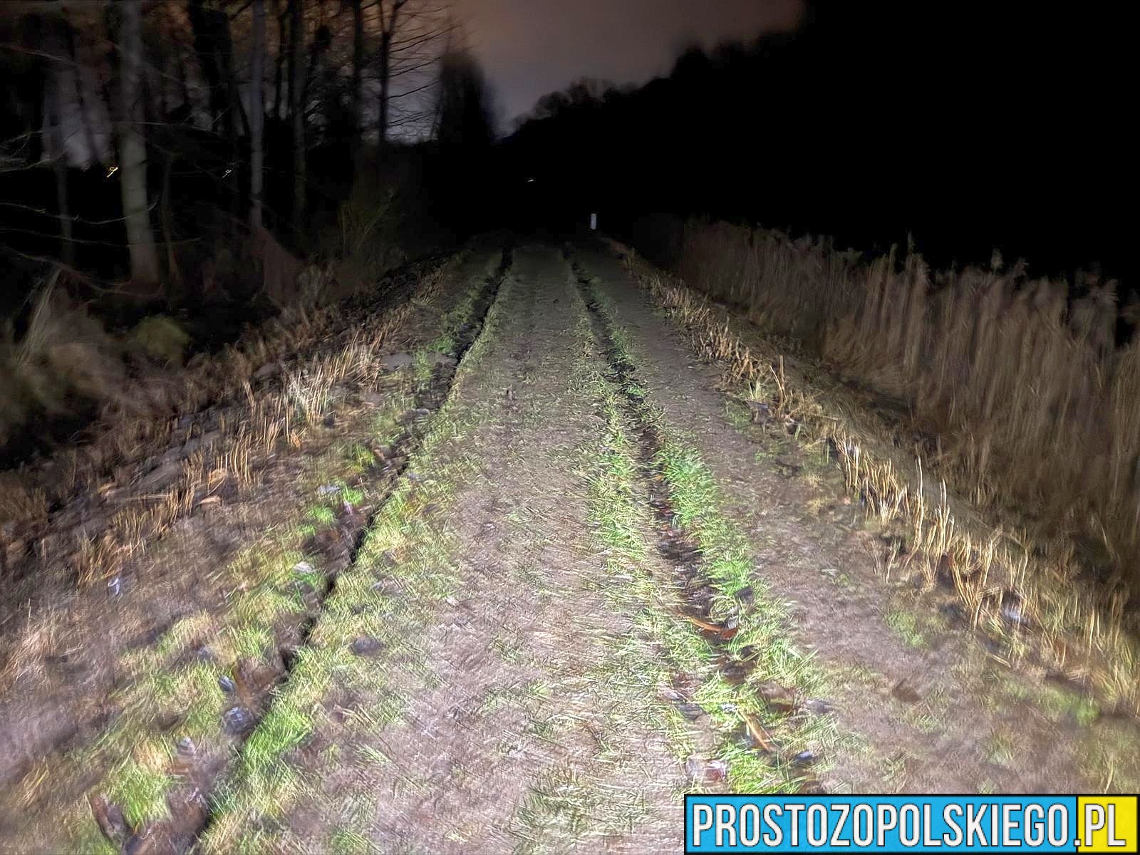 policja oddała strzał, policja, pościg, policja pościg, policjant strzelał, policjant oddał strzał, 