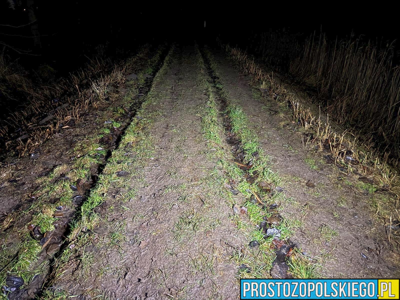 policja oddała strzał, policja, pościg, policja pościg, policjant strzelał, policjant oddał strzał, 