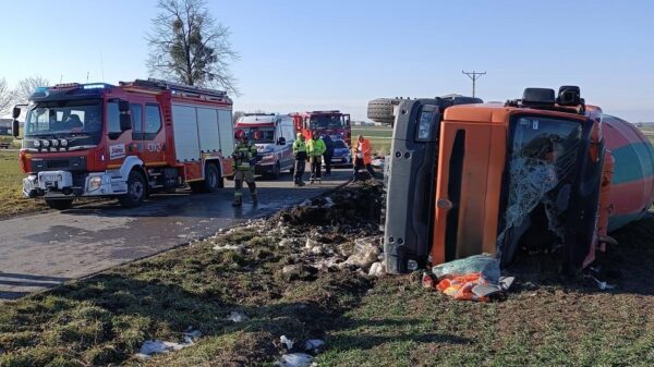 Zdarzenie drogowe na drodze powiatowej pomiędzy miejscowościami Kluczbork, a Kujakowice Dolne