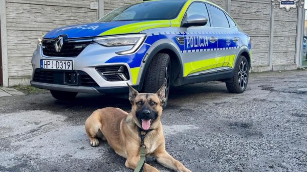 Pies patrolowo-tropiący w kluczborskiej jednostce policji