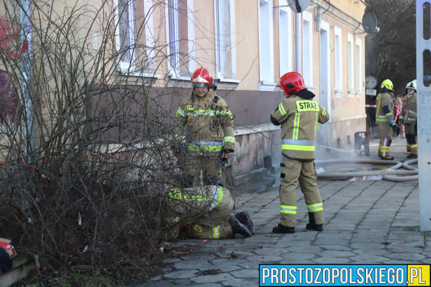 pożar Opole, opole graniczna, uratowali kota, uratowali to kota z pożaru,