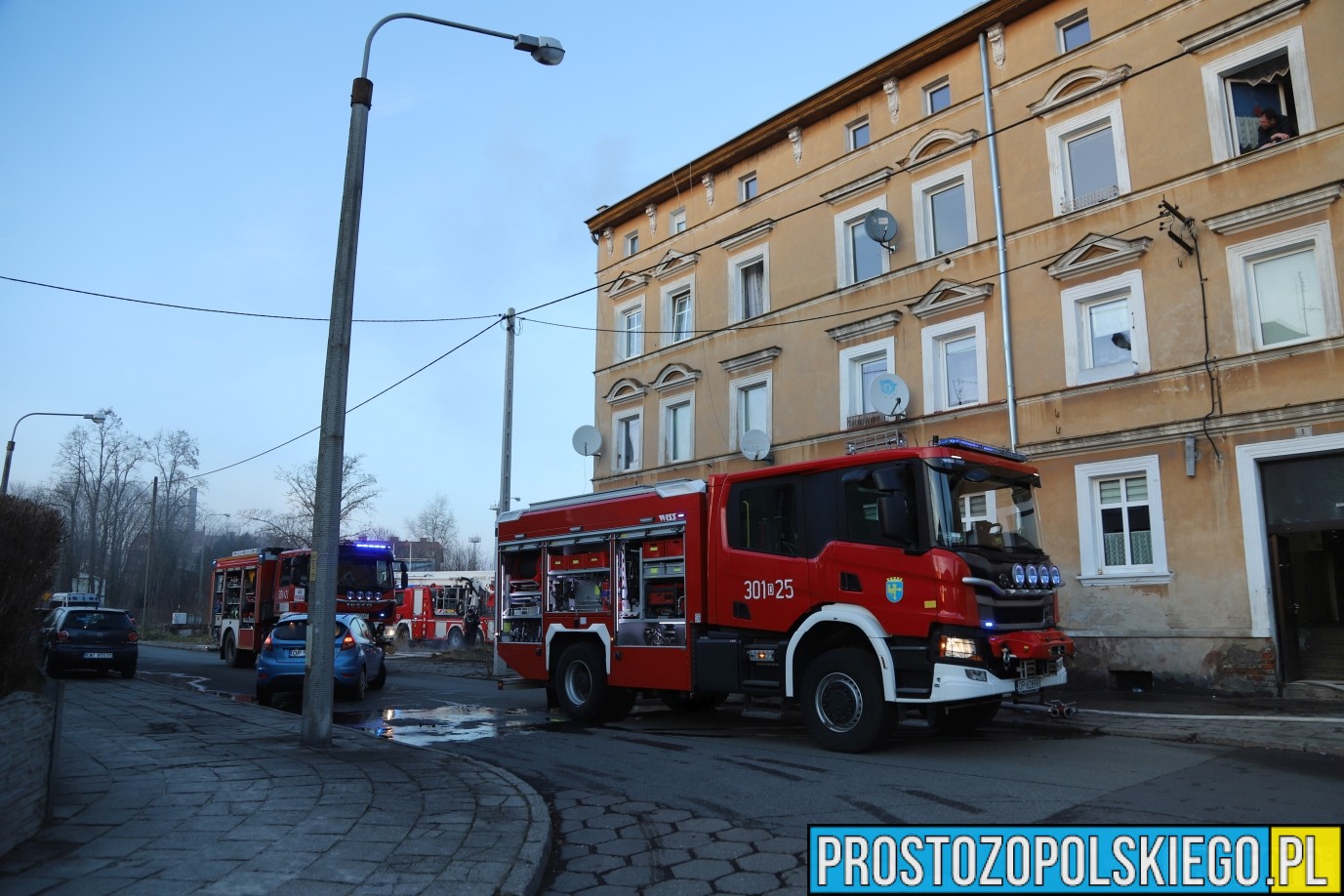 uratowany kot z pożaru mieszkania, kot uratowany, podali kotu tlen, kot z pożaru uratowany