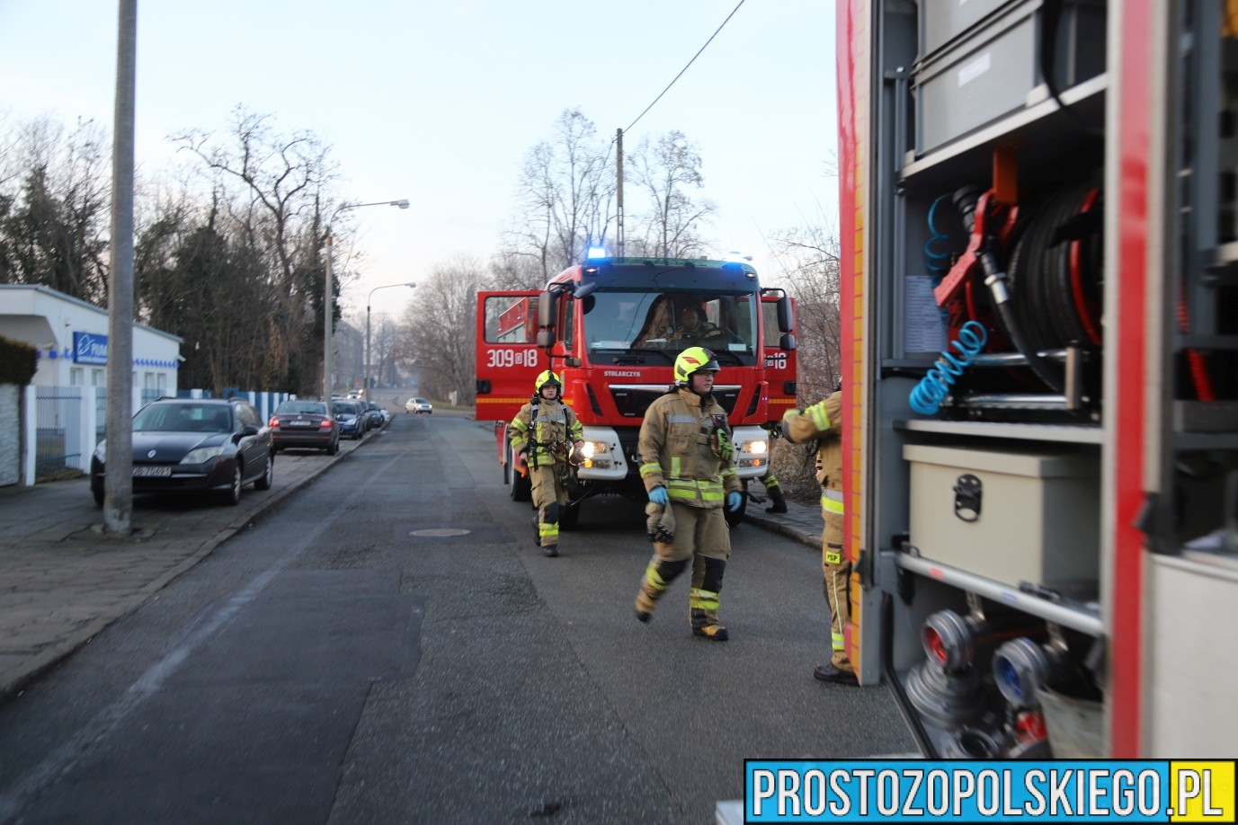 uratowany kot z pożaru mieszkania, kot uratowany, podali kotu tlen, kot z pożaru uratowany