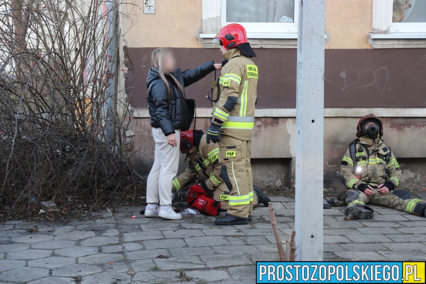 strażacy uratowali kota z pożaru mieszkania, kot uratowany, straż kot pożar,