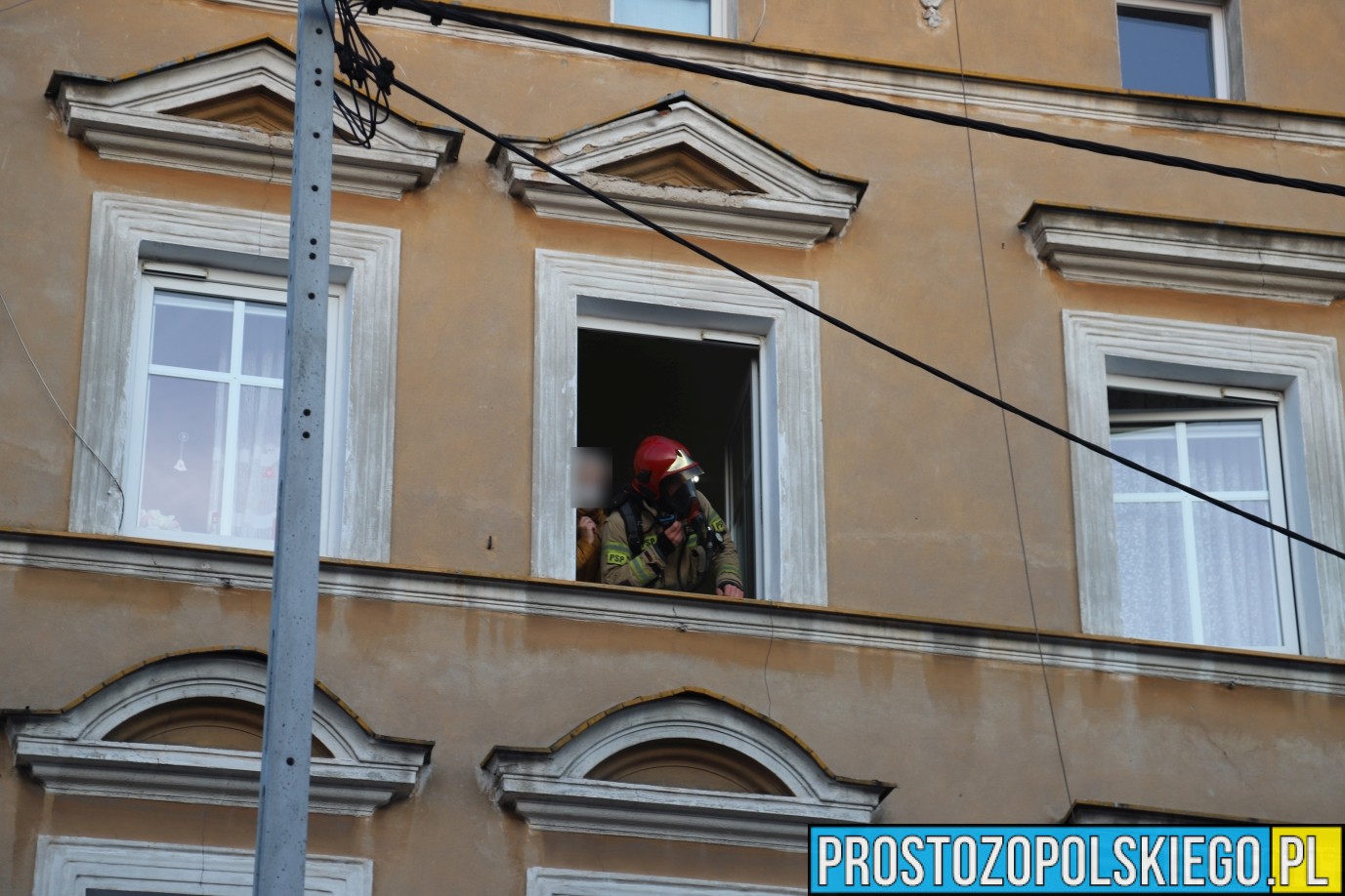 kot uratowany, ratowali kota, kot z pożaru, ratowali kota z pożary, pożar kot, prosto z opolskiego,