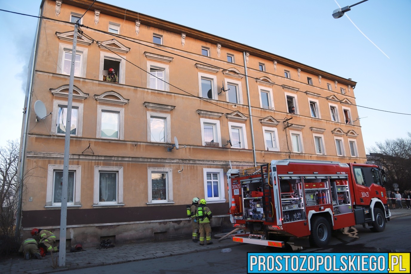 kot uratowany, ratowali kota, kot z pożaru, ratowali kota z pożary, pożar kot, prosto z opolskiego,