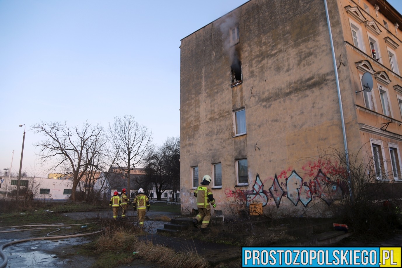 kot uratowany, ratowali kota, kot z pożaru, ratowali kota z pożary, pożar kot, prosto z opolskiego,