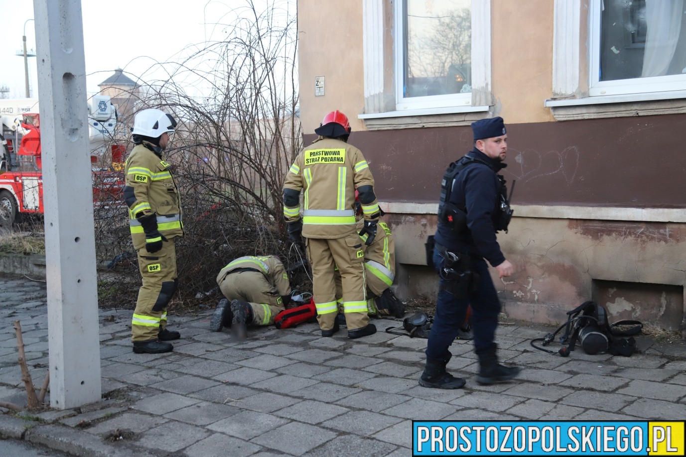 reanimacja kota, kot uratowany, uratowany kot z pożaru mieszkania,