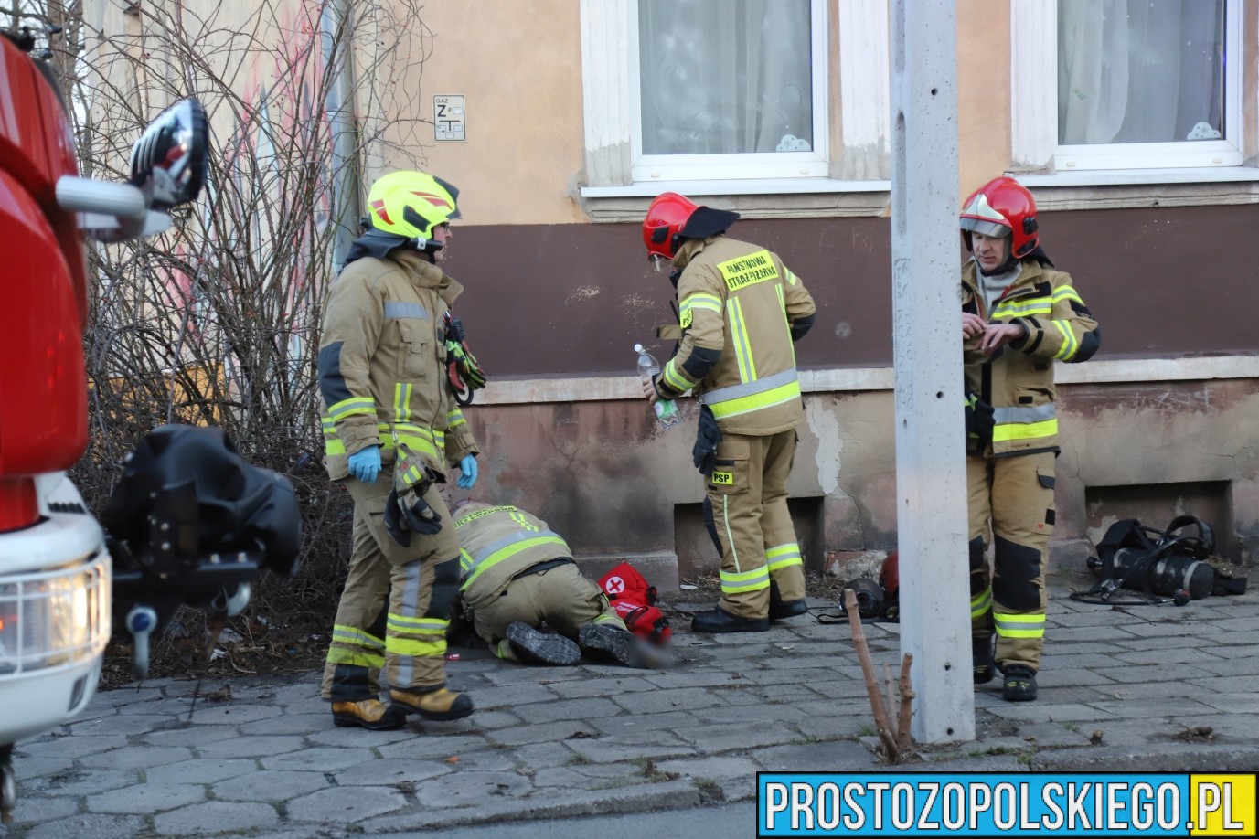 pożar mieszkania Opole, pożar mieszkania w Opolu, uratowany kot, kot z pożaru, ratowanie kota, kot uratowany z pożaru mieszkania,