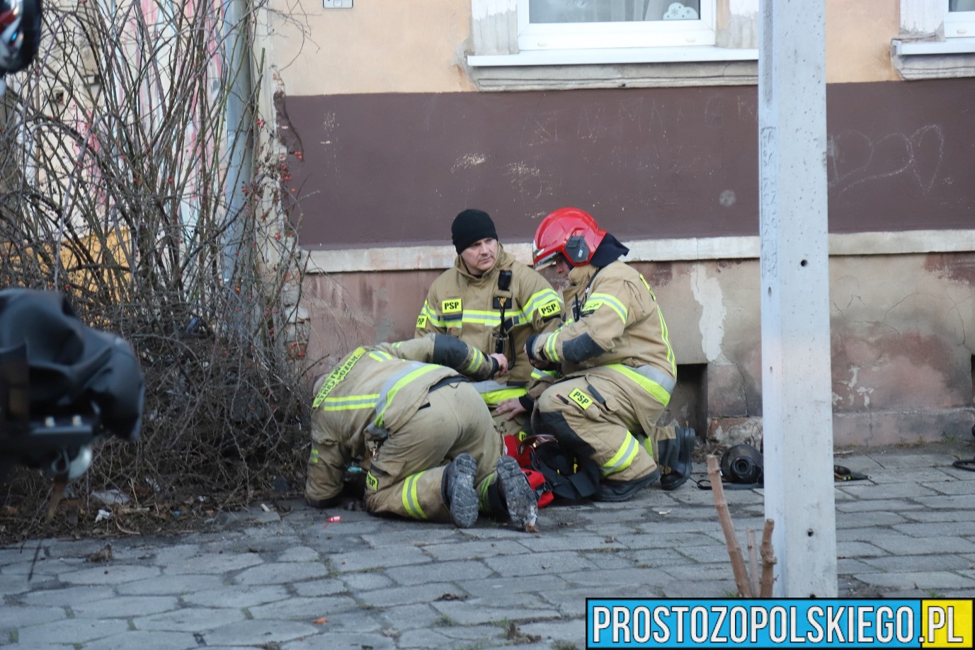 pożar mieszkania Opole, pożar mieszkania w Opolu, uratowany kot, kot z pożaru, ratowanie kota, kot uratowany z pożaru mieszkania,