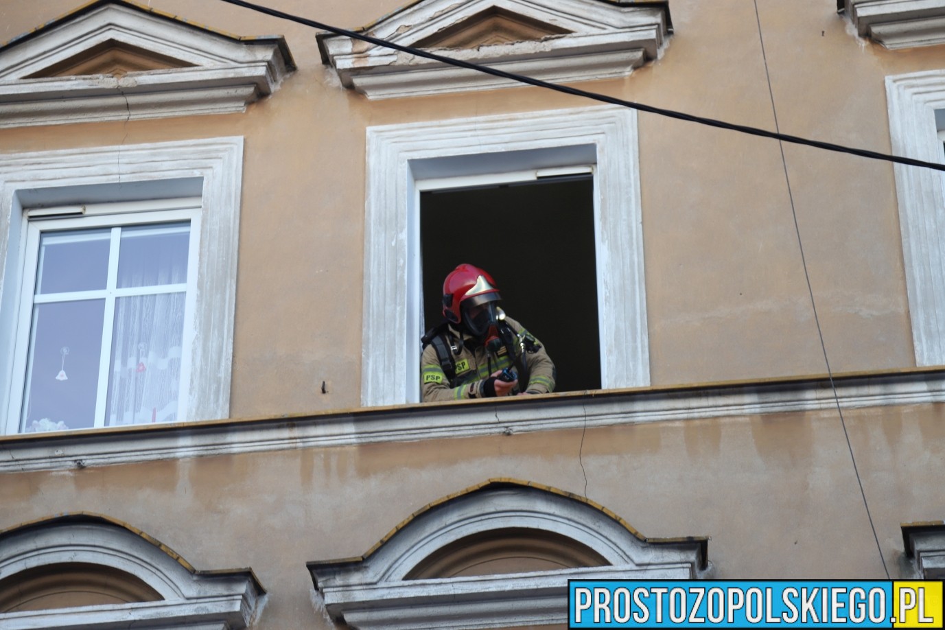 pożar mieszkania Opole, pożar mieszkania w Opolu, uratowany kot, kot z pożaru, ratowanie kota, kot uratowany z pożaru mieszkania,