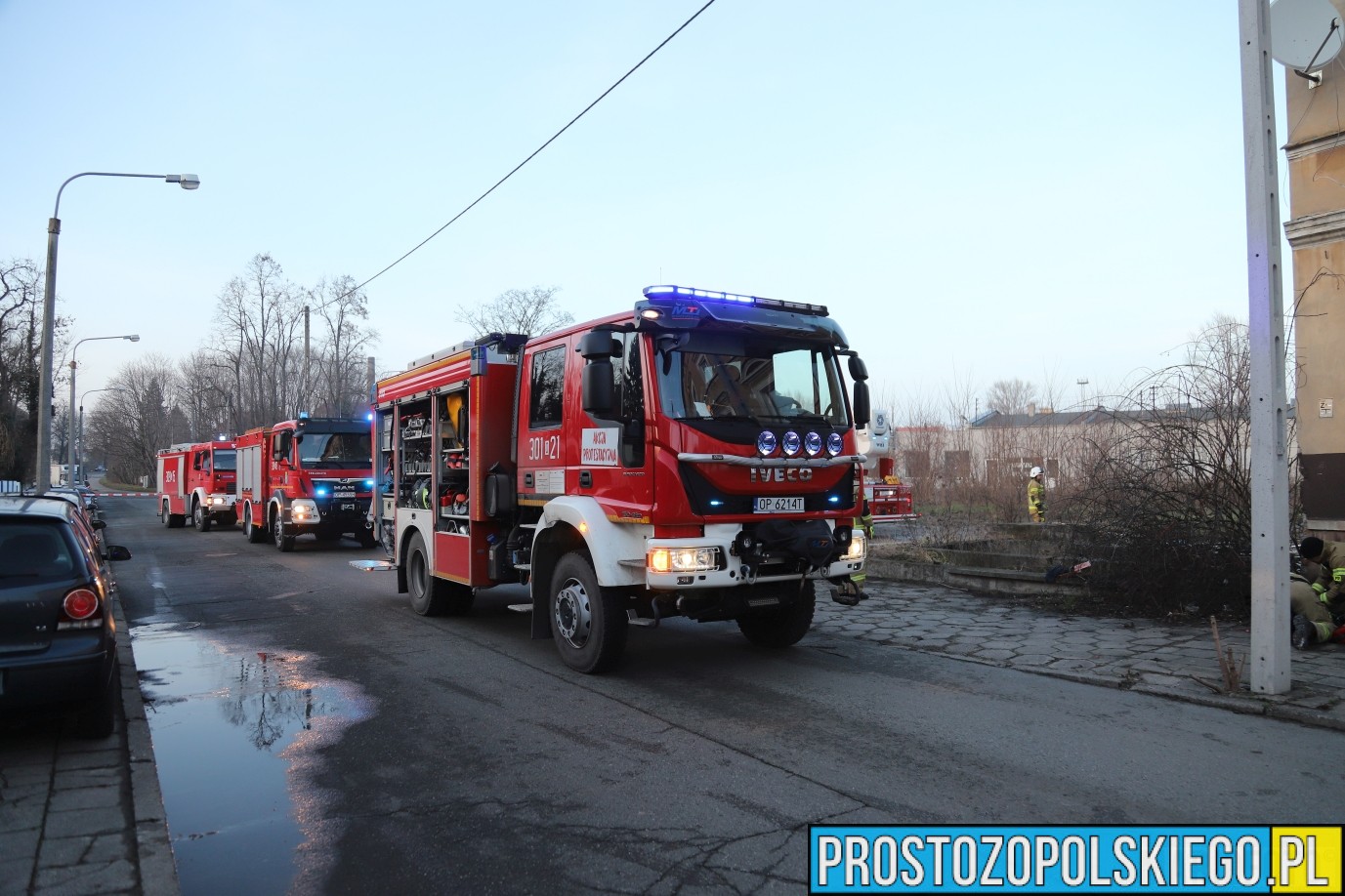 pożar mieszkania Opole, pożar mieszkania w Opolu, uratowany kot, kot z pożaru, ratowanie kota, kot uratowany z pożaru mieszkania,