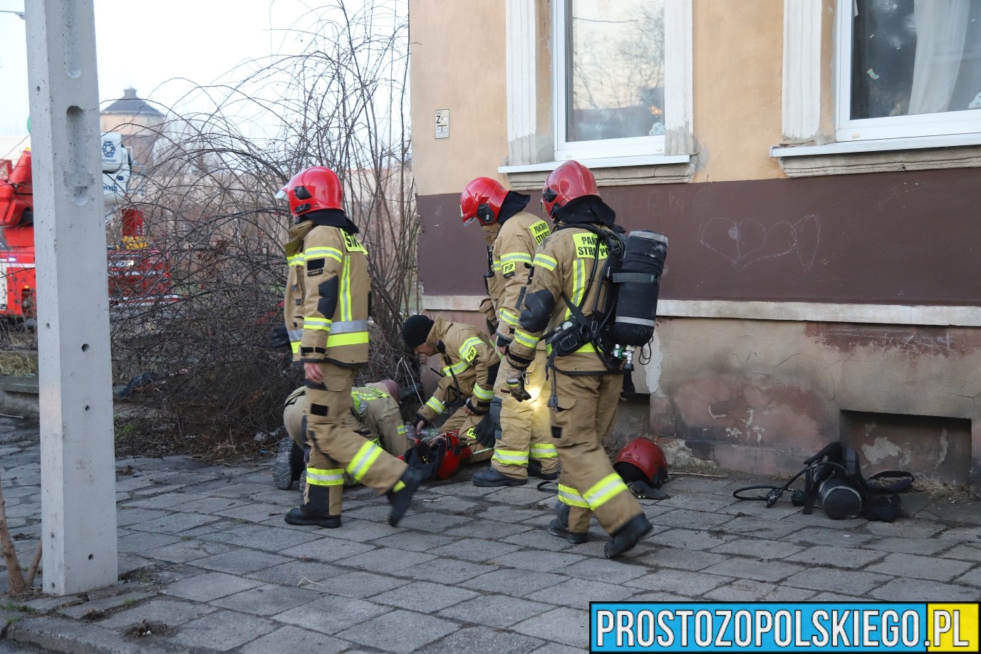 pożar mieszkania Opole, pożar mieszkania w Opolu, uratowany kot, kot z pożaru, ratowanie kota, kot uratowany z pożaru mieszkania,