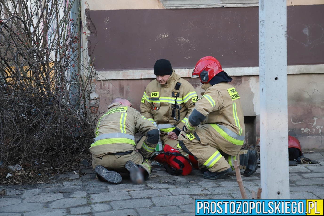 ratowanie kota z pożaru, kot reanimacja, podali kotu tlen, kot przeżył pożar,