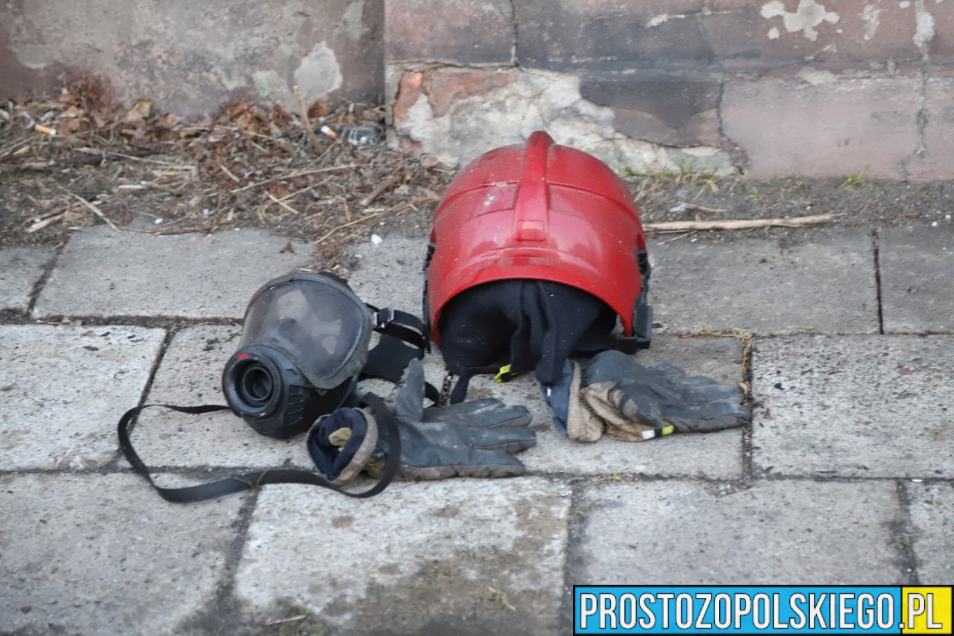 ratowanie kota z pożaru, kot reanimacja, podali kotu tlen, kot przeżył pożar,