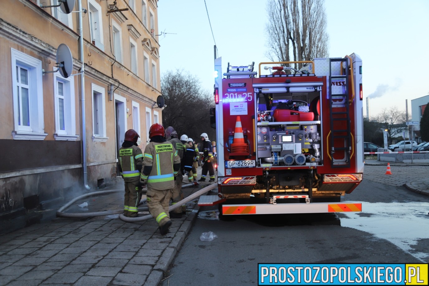 ratowanie kota z pożaru, kot reanimacja, podali kotu tlen, kot przeżył pożar,