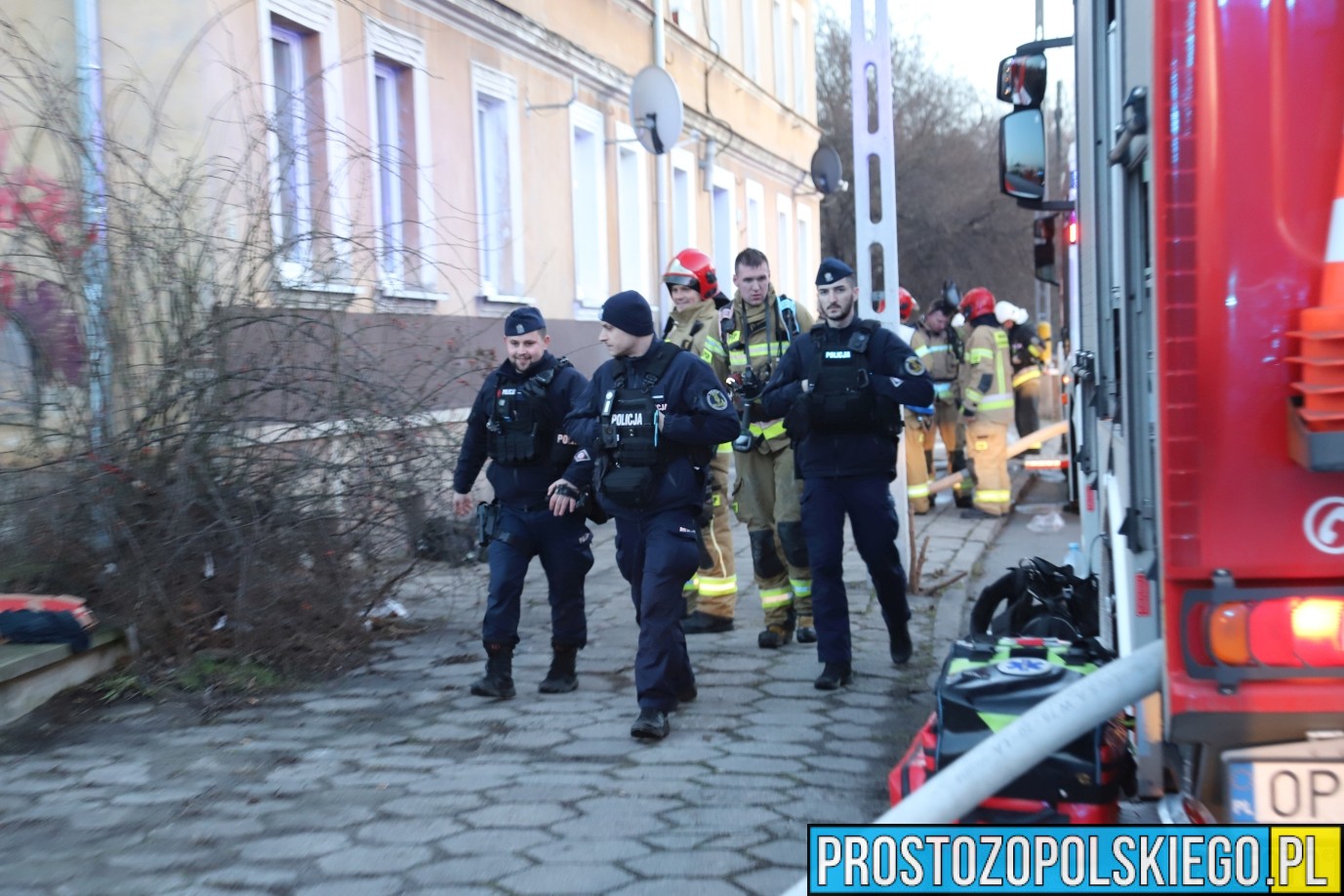 ratowanie kota z pożaru, kot reanimacja, podali kotu tlen, kot przeżył pożar,