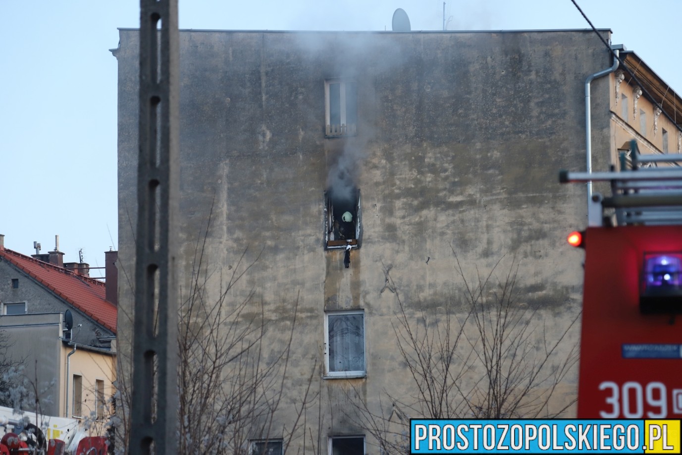 ratowanie kota z pożaru, kot reanimacja, podali kotu tlen, kot przeżył pożar,