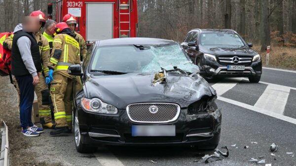 Wypadek na DK46 na trasie Opole-Nysa w miejscowości Dąbrowa. Jaguar został rozcięty jak puszka (Foto&Wideo)