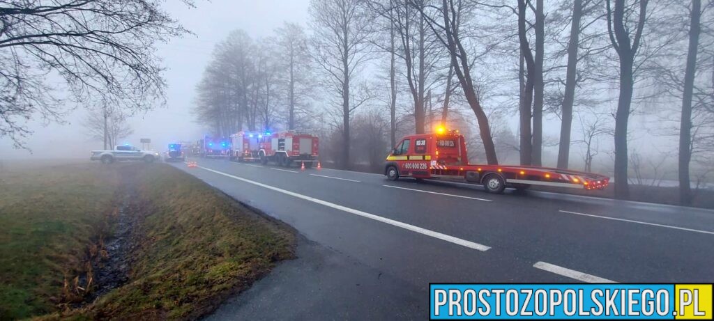 Wypadek Tułowice Małe. Czołowe zderzenie dwóch aut. Jedna osoba zabrana do szpitala (Zdjęcia)