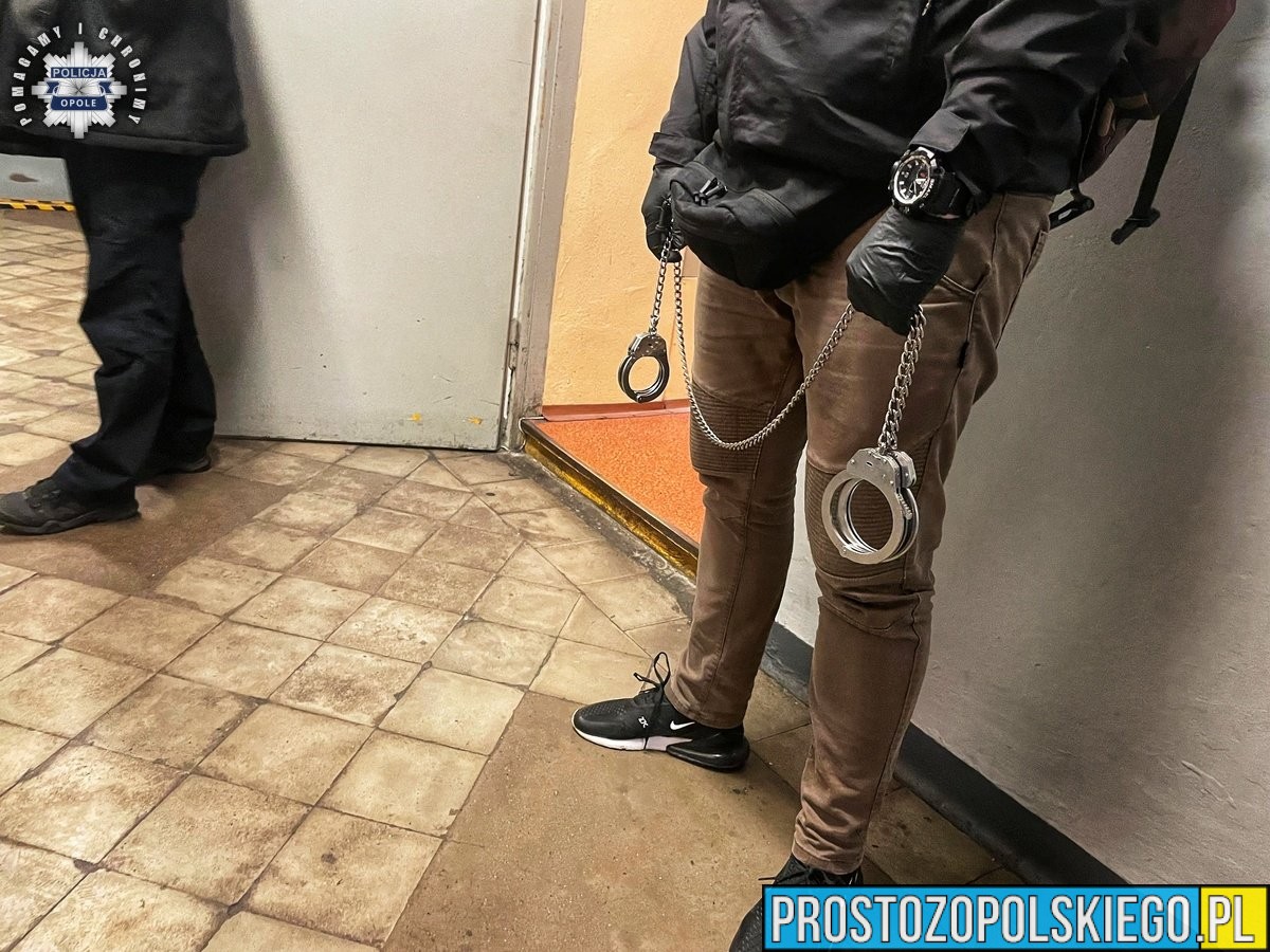 Policjanci z Niemodlina zatrzymali 33-latka podejrzanego o kradzież kosmetyków na kwotę 1 200 złotych. Mężczyzna miał działać w warunkach