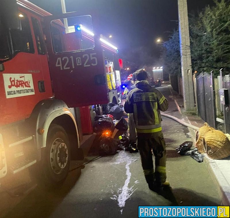 Pożar piwnicy w Kędzierzynie-Koźlu. Uratowano dwa psy i kota