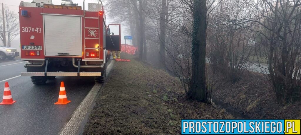 Wypadek Tułowice Małe. Czołowe zderzenie dwóch aut. Jedna osoba zabrana do szpitala (Zdjęcia)