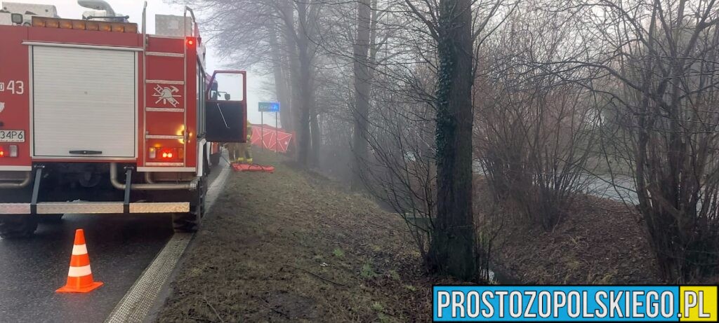 Wypadek Tułowice Małe. Czołowe zderzenie dwóch aut. Jedna osoba zabrana do szpitala (Zdjęcia)