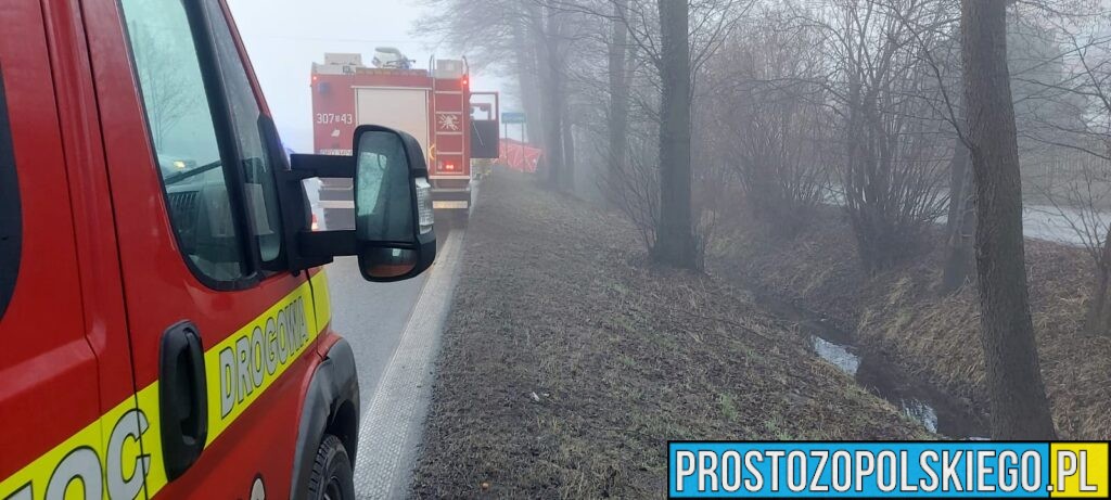 Wypadek Tułowice Małe. Czołowe zderzenie dwóch aut. Jedna osoba zabrana do szpitala (Zdjęcia)