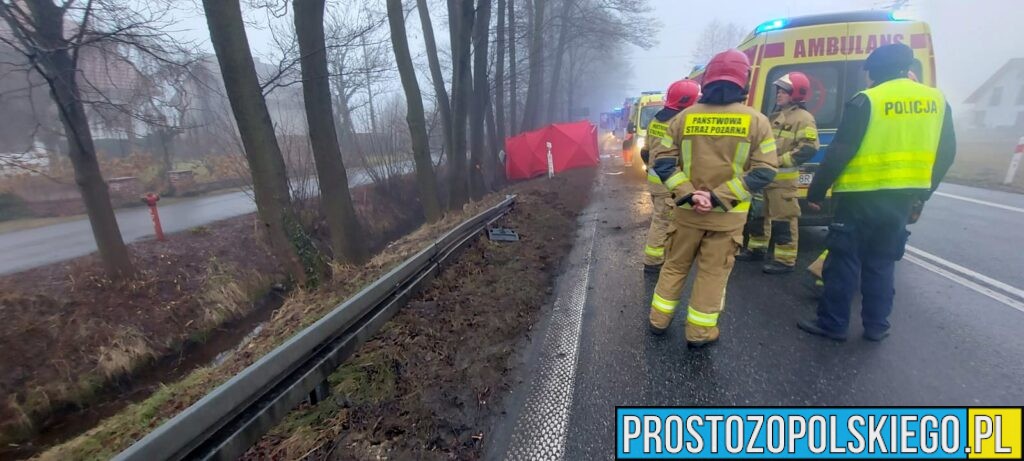 Wypadek Tułowice Małe. Czołowe zderzenie dwóch aut. Jedna osoba zabrana do szpitala (Zdjęcia)