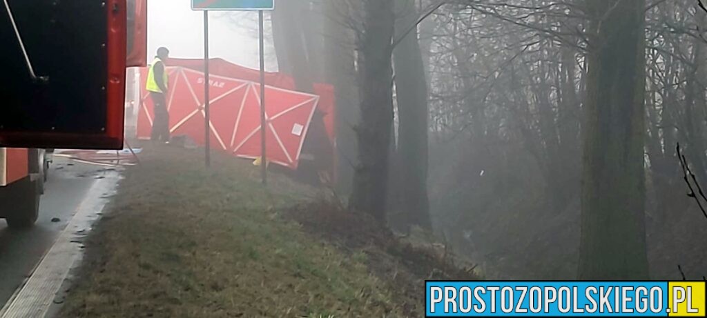 Wypadek Tułowice Małe. Czołowe zderzenie dwóch aut. Jedna osoba zabrana do szpitala (Zdjęcia)