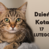 17 lutego - Obchodzimy Światowy Dzień Kota