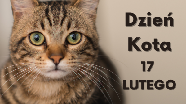 17 lutego - Obchodzimy Światowy Dzień Kota