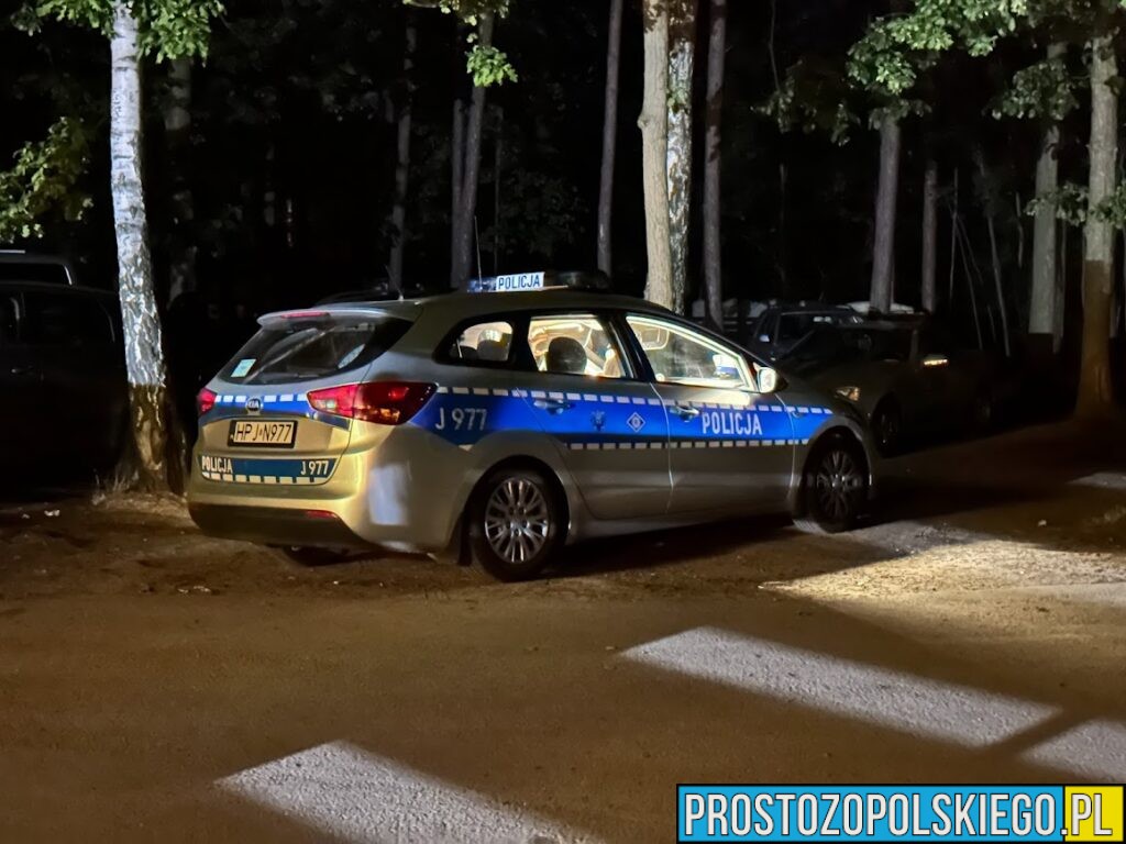 Patrol policji zatrzymał do kontroli nissana. Autem kierował 17-latek, który miał 2 promile