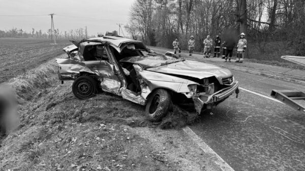 Wypadek drogowy w powiecie strzeleckim. Nie żyje 20-letni kierowca z Hondy (Zdjęcia)